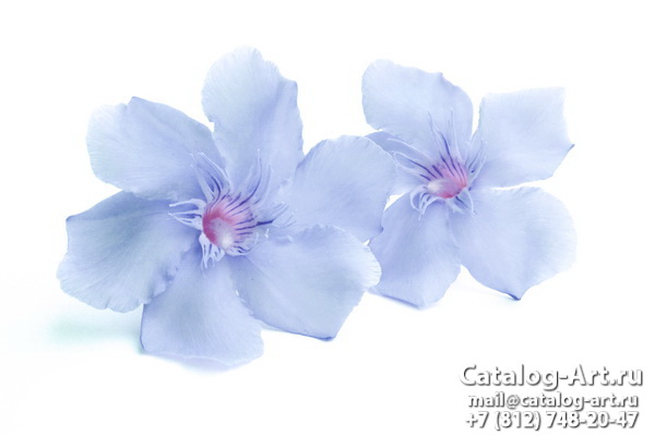 Bleu flowers 23